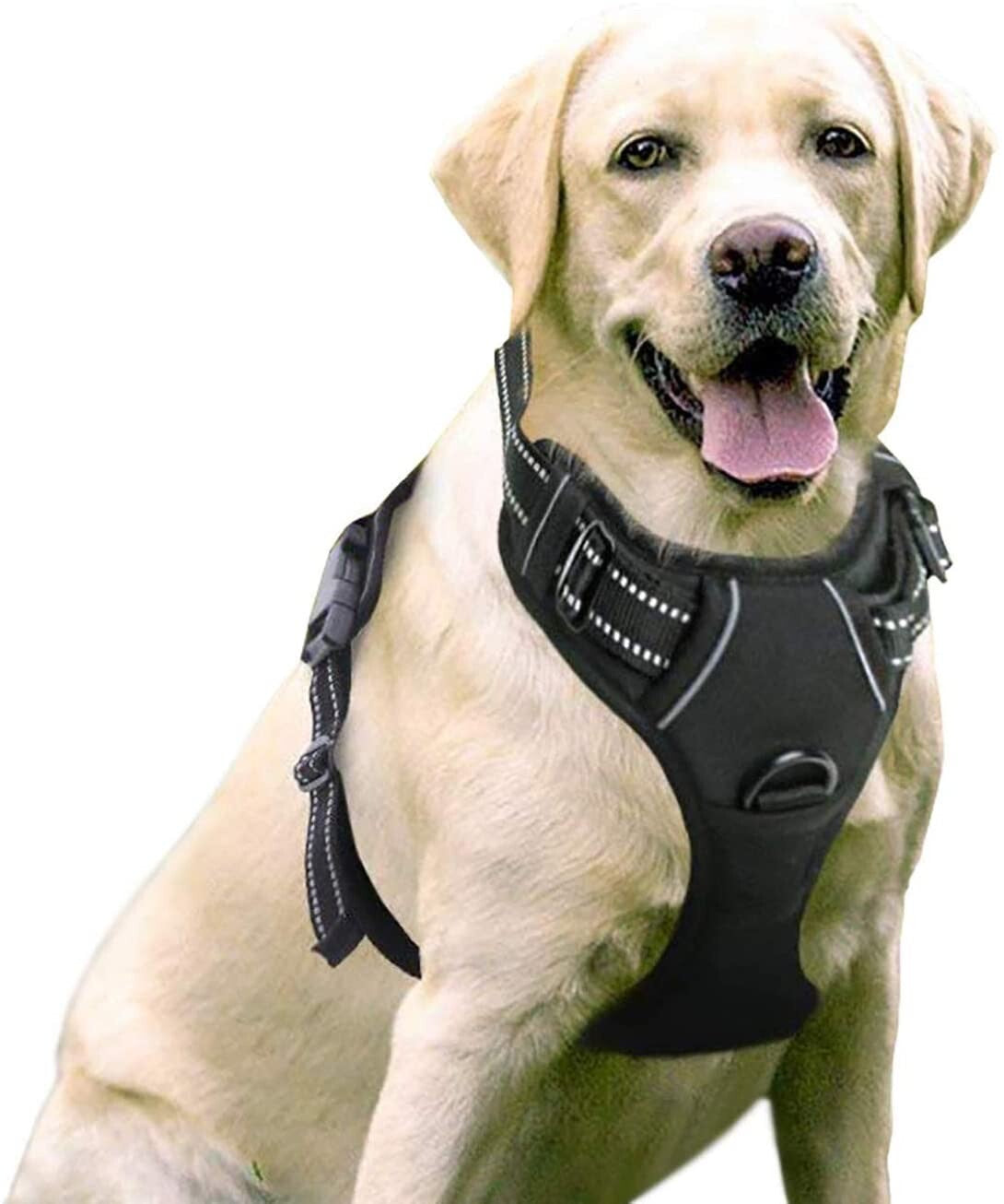 NEW Rabbitgoo Front Range Dog Harness No-Pull Adjustable Outdoor Pet LARGE Size