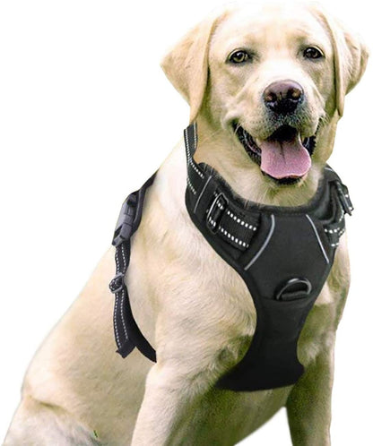 NEW Rabbitgoo Front Range Dog Harness No-Pull Adjustable Outdoor Pet LARGE Size